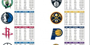 尼克斯2025-26赛季新阵容蓄力，欧文领衔冲击冠军